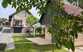 Ferienhaus Motorikpark Gamlitz  Österreich